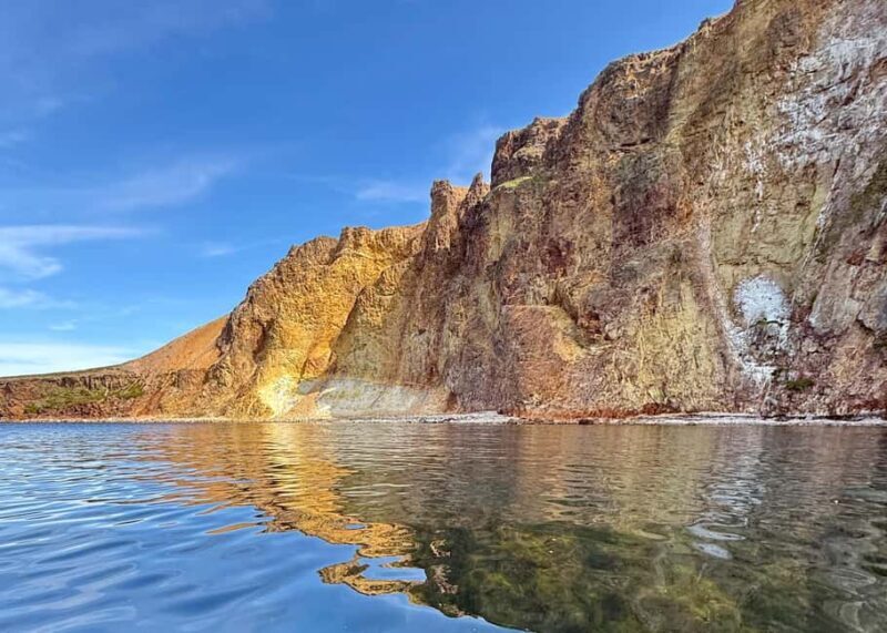 Neskaupstaður: RIB Boat Tour with Drink - The Vivid Rauðubjörg Cliffs