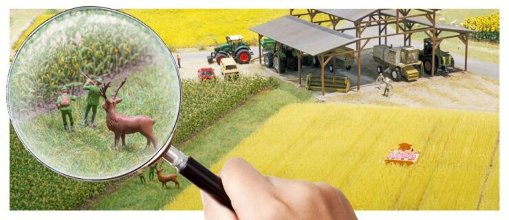 Neuhausen Am Rheinfall: Smilestones Miniature World Entry - Ticket Information