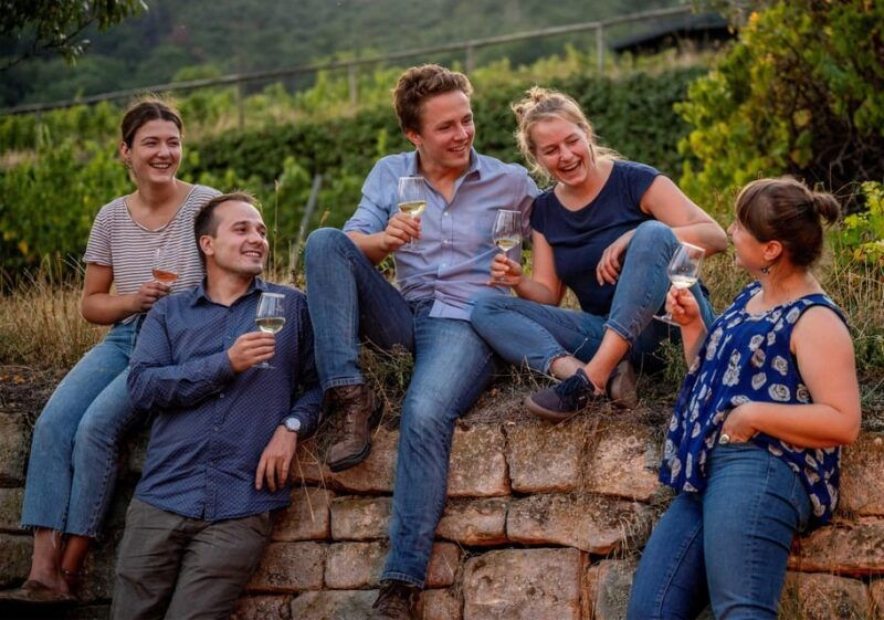 Neustadt: Wine tasting with cellar tour and vineyard tour - Neustadt: Wine Tasting with Cellar and Vineyard Tour — A Genuine Taste of Palatinate