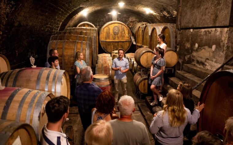 Neustadt: Wine tasting with cellar tour and vineyard tour - FAQ