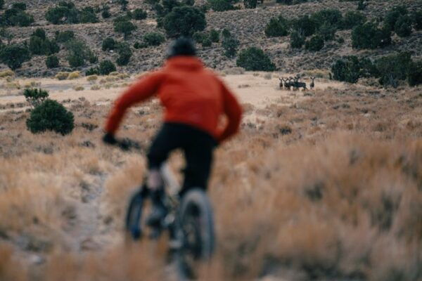 Nevada: Trails to Rails - Hike & Bike 7 Day Tour - Location and Attractions