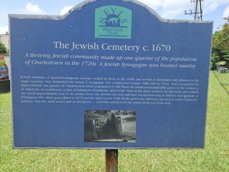 Nevis: Island Tour with Hot Springs and Historical tour - Why This Tour Is a Great Choice