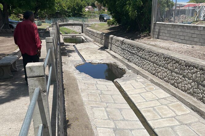 Nevis Panoramic Drive, Power Catamaran & Beach Experience - Return Journey & Scenic Views