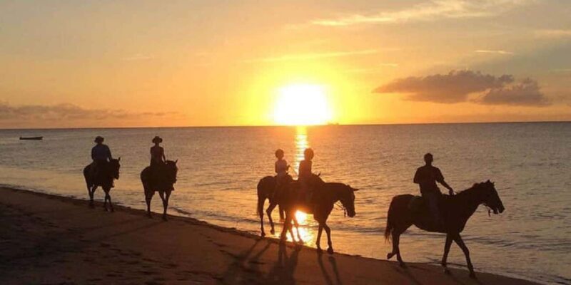 Nevis: Private Horseback Ride and Swim in the Caribbean Sea - Good To Know