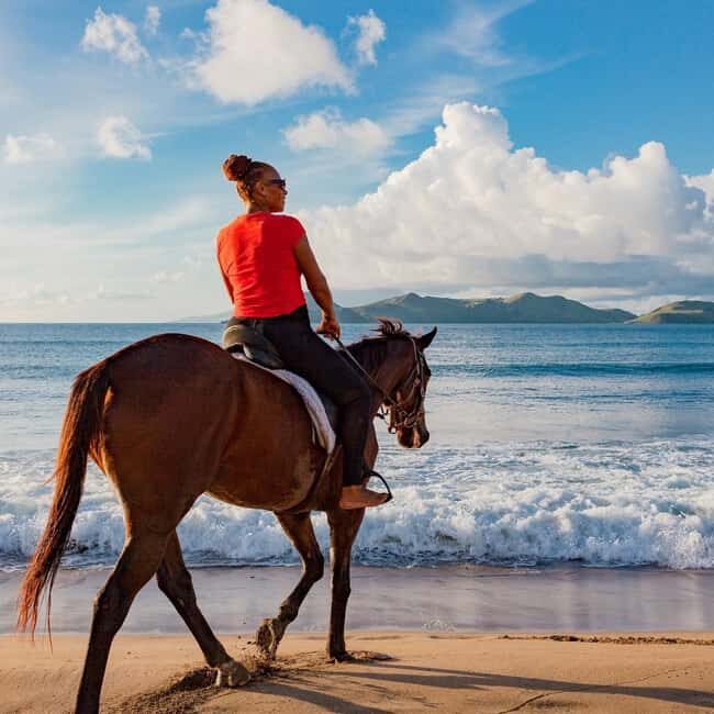 Nevis: Private Horseback Ride and Swim in the Caribbean Sea - Who Should Consider This Tour?