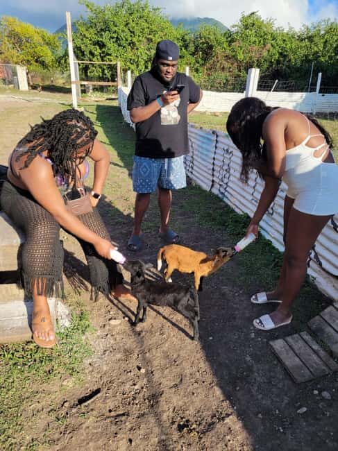 Nevis: Private Horseback Ride and Swim in the Caribbean Sea - Final Thoughts