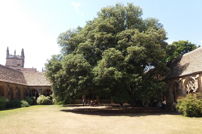 New College Oxford Harry Potter Insights PRIVATE TOUR Daily - Reviews