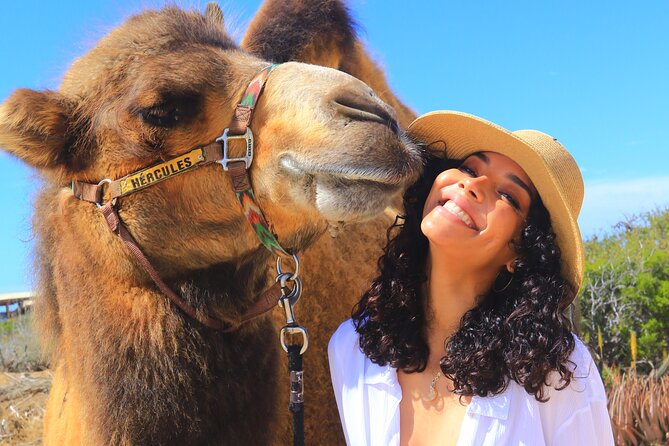 NEW! Combo Camel Ride & UTV 4X4 Adventure - Los Cabos - Pickup and Meeting Point Information