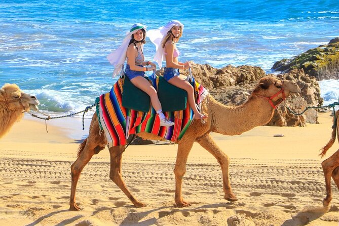 NEW! Combo Camel Ride & UTV 4X4 Adventure - Los Cabos - Cancellation Policy