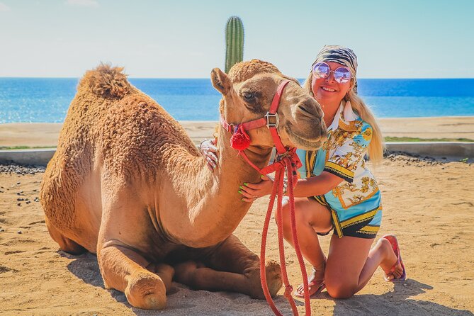 NEW! Combo Camel Ride & UTV 4X4 Adventure - Los Cabos - Issues and Complaints
