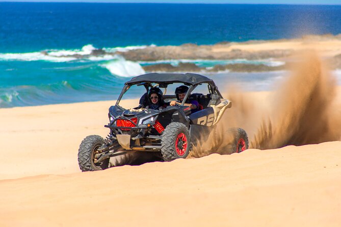 NEW! Combo Camel Ride & UTV 4X4 Adventure - Los Cabos - Mixed Experiences