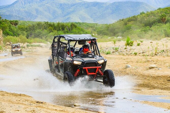 NEW! Combo Camel Ride & UTV 4X4 Adventure - Los Cabos - Common Questions