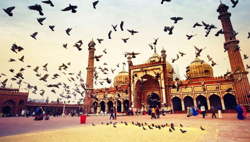 New Delhi: Akshardham Temple Tour with Water and Light Show - Good To Know