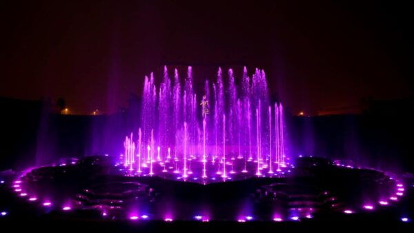 New Delhi & Akshardham Temple Tour With Water and Light Show - Common Questions