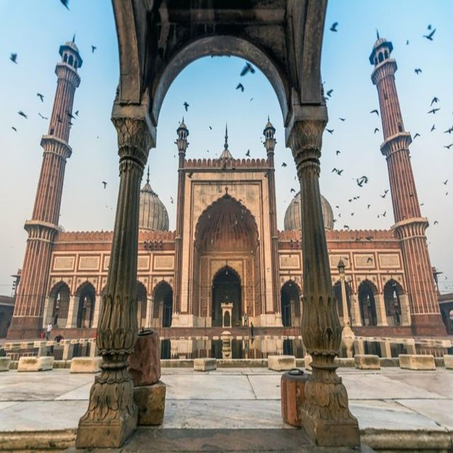 New Delhi: Full-Day Old & New Delhi Guided Tour - Description
