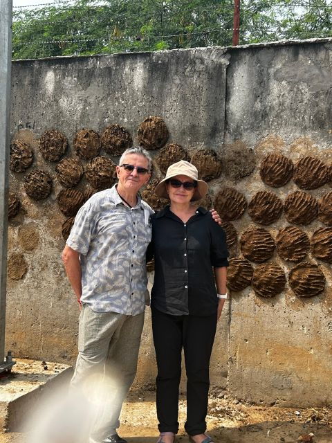 New Delhi: Half Day Short Guided Sightseeing Tour - Tour Pricing and Duration