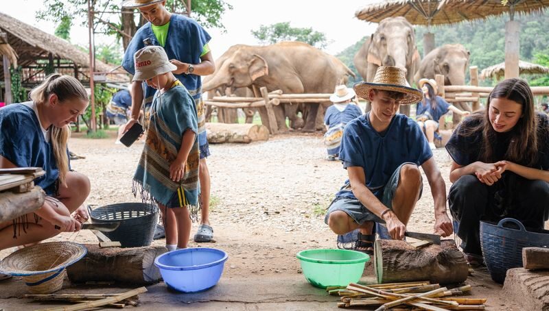 New Elephant Home Elephant Conservation Center in Chiang Mai - Choosing between the short visit and a longer day