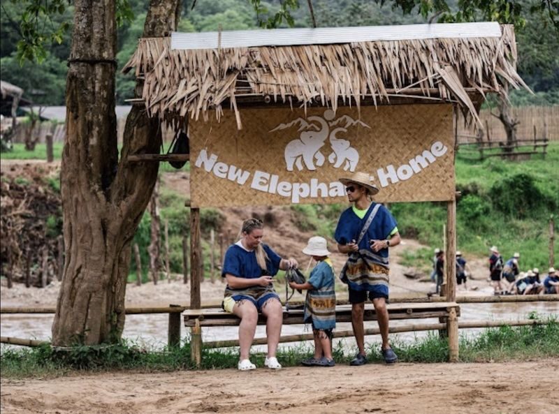 New Elephant Home Elephant Conservation Center in Chiang Mai - Is this the right Chiang Mai elephant visit for you?