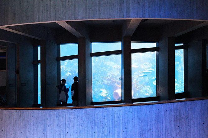 New England Aquarium Admission Ticket in Boston - Good To Know