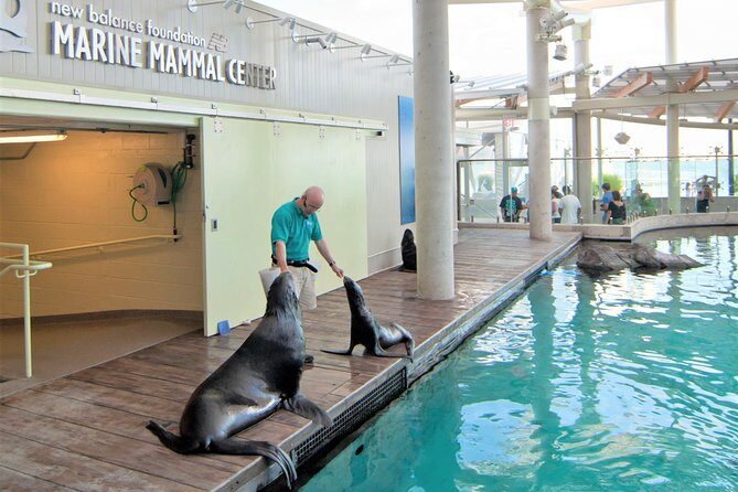 New England Aquarium Admission Ticket in Boston - What to Expect at the New England Aquarium