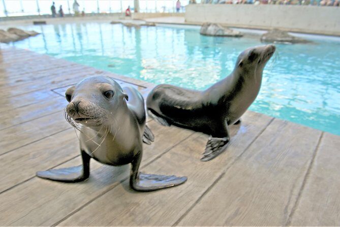 New England Aquarium Admission Ticket in Boston - Final Thoughts