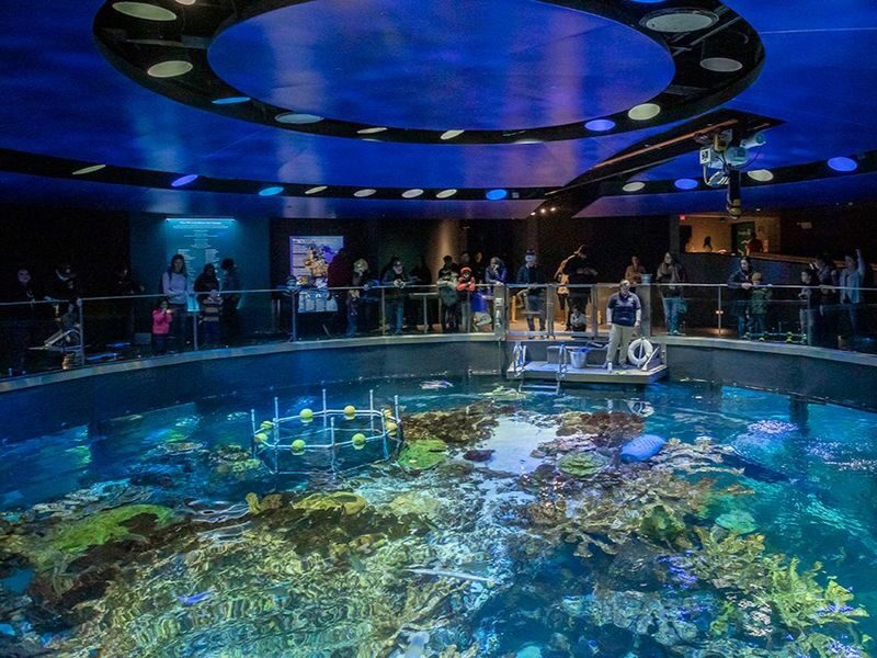 New England Aquarium Ticket - A quick guide to the aquarium