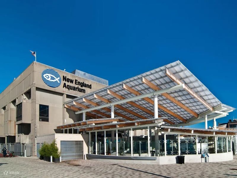 New England Aquarium Ticket - Start with the ocean tank