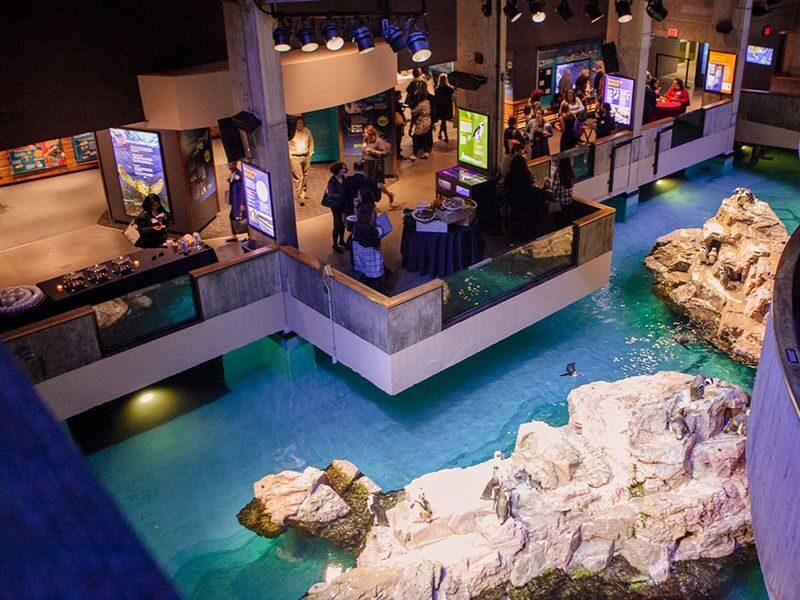 New England Aquarium Ticket - How long to allow, and how to pace your visit
