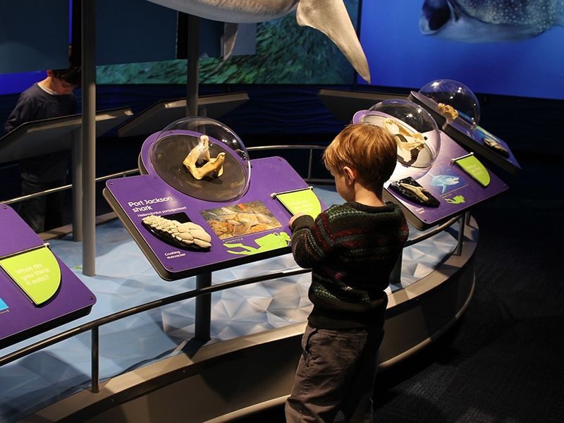 New England Aquarium Ticket - Is $37.05 good value?