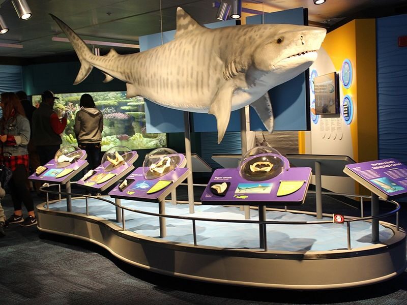 New England Aquarium Ticket - Getting there and planning the visit