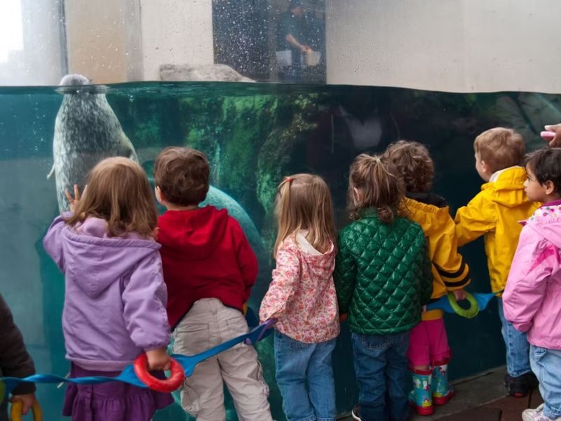 New England Aquarium Ticket - Who should book this aquarium visit?