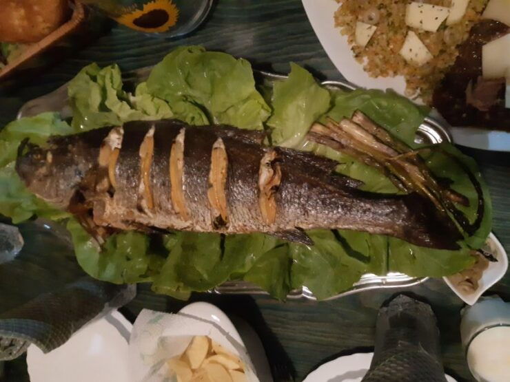 NEW: Enjoy Sidibousaid, Medina and Delectable Tunisian Fare - Duration and Scheduling