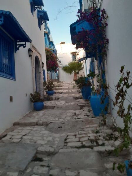 NEW: Enjoy Sidibousaid, Medina and Delectable Tunisian Fare - The Sum Up