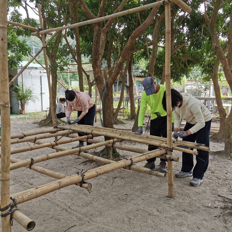 New experience with "Bamboo" - What makes this bamboo workshop different