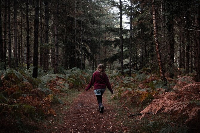 New Forest Tour App, Hidden Gems Game and Big Britain Quiz (7 Day Pass) UK - Gps-Based Smartphone Tool for Exploration