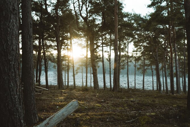 New Forest Tour App, Hidden Gems Game and Big Britain Quiz (7 Day Pass) UK - Important Information and Cancellation Policy