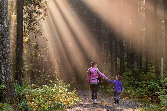 New Forest Tour App, Hidden Gems Game and Big Britain Quiz (7 Day Pass) UK - The Sum Up