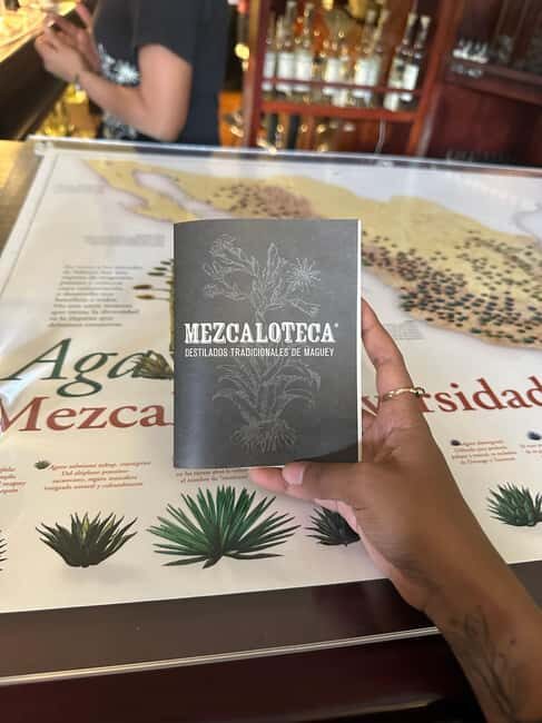 New Friends and Mezcal Tasting Deluxe in Oaxaca city! - Analyzing the Value: Is It Worth $71?