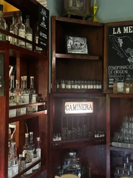 New Friends and Mezcal Tasting Deluxe in Oaxaca City! - Inclusions and Booking