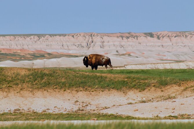NEW! Full Monty: Badlands, Baja Agate Fields and Wall Drug - Discovering Baja Agate Fields