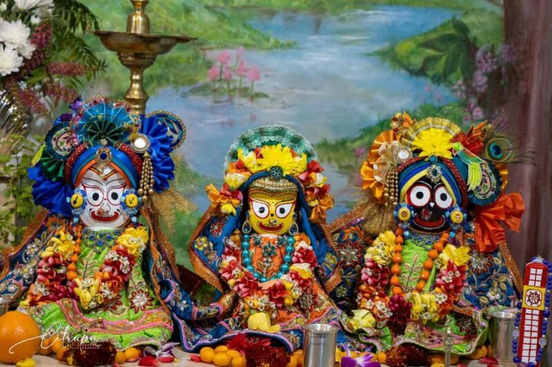 New Gokula Farm, Cessnock & Newcastle Day Tour from Sydney - Good To Know