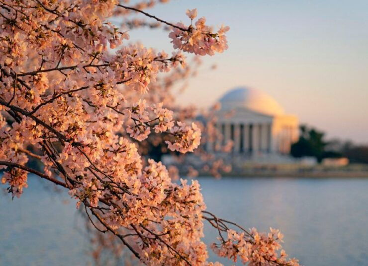 New Haven,Rhode Island,Boston 2-Day Trip From New York - Itinerary Details