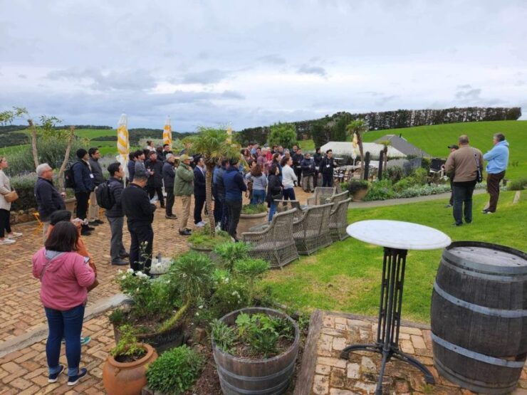 New. Maori Cultural Tour With Maori Guides and Lunch - Tour Highlights