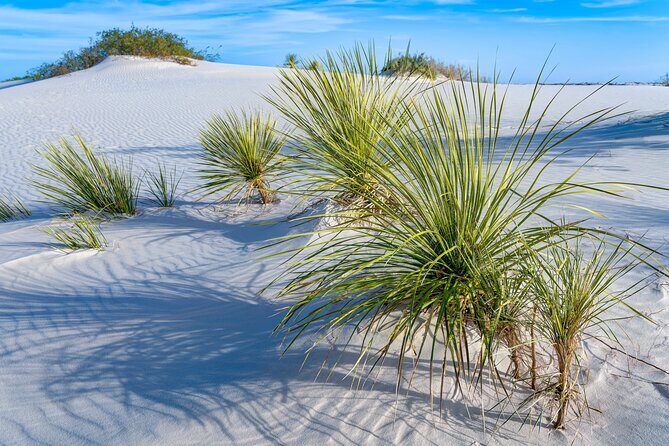 New Mexico: Carlsbad, Santa Fe & White Sands Audio Tour - FAQ