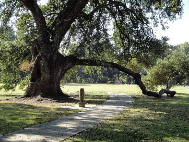New Orleans: 2.5-Hour City & Cemetery Tour by Bus - Good To Know