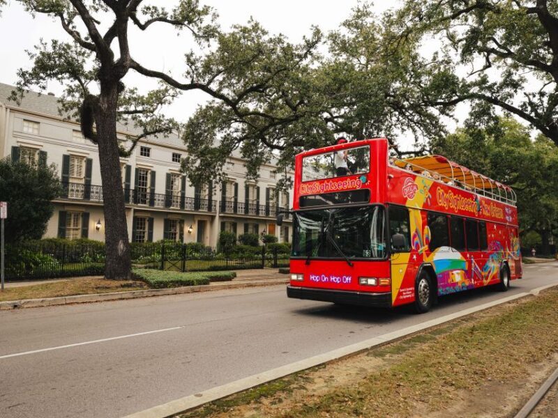 New Orleans: 2 or 3 Day Hop-On Hop-Off Bus with Walking Tour - What’s Included and Why It Matters