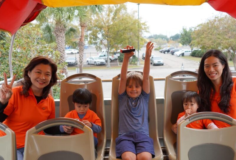 New Orleans: 2 or 3 Day Hop-On Hop-Off Bus with Walking Tour - Comfort, Accessibility, and Practical Details