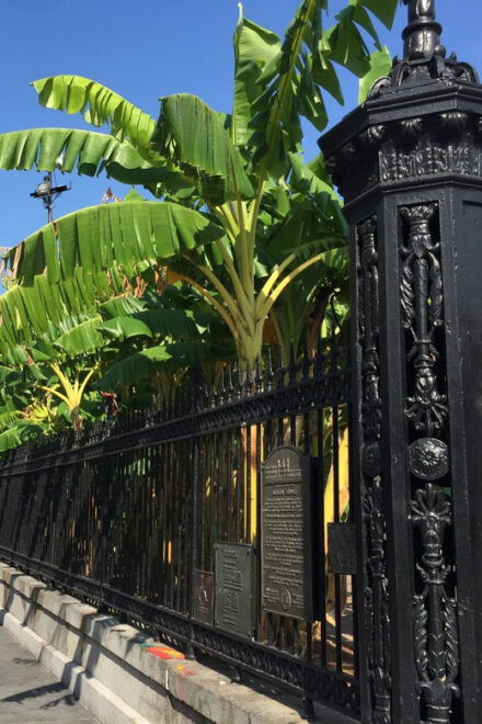 New Orleans: 45 Minutes in Jackson Square - Experience Highlights