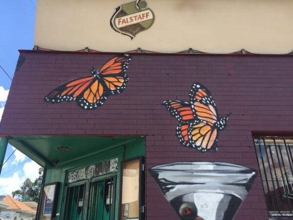 New Orleans: 45 Minutes in the Marigny Triangle - Frequently Asked Questions