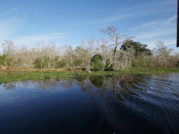 New Orleans: Airboat or Pontoon Boat Cruise With Transfers - Good To Know